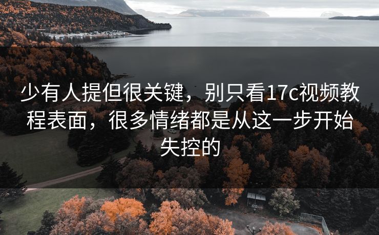少有人提但很关键，别只看17c视频教程表面，很多情绪都是从这一步开始失控的