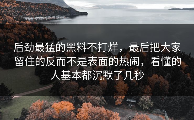 后劲最猛的黑料不打烊，最后把大家留住的反而不是表面的热闹，看懂的人基本都沉默了几秒
