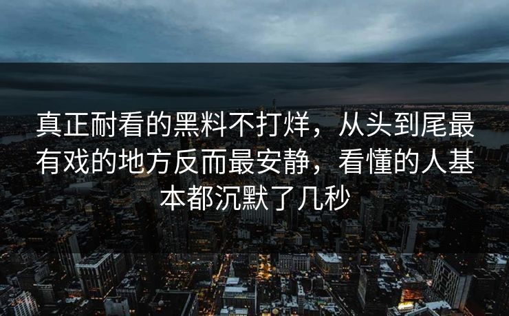 真正耐看的黑料不打烊，从头到尾最有戏的地方反而最安静，看懂的人基本都沉默了几秒