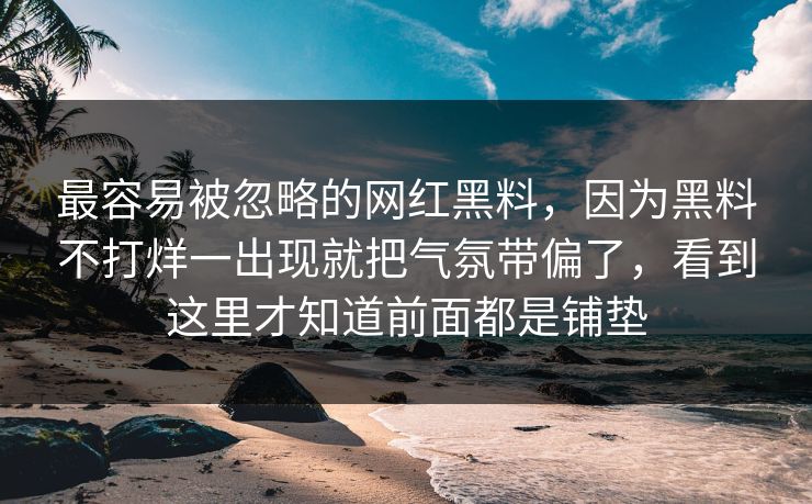 最容易被忽略的网红黑料，因为黑料不打烊一出现就把气氛带偏了，看到这里才知道前面都是铺垫