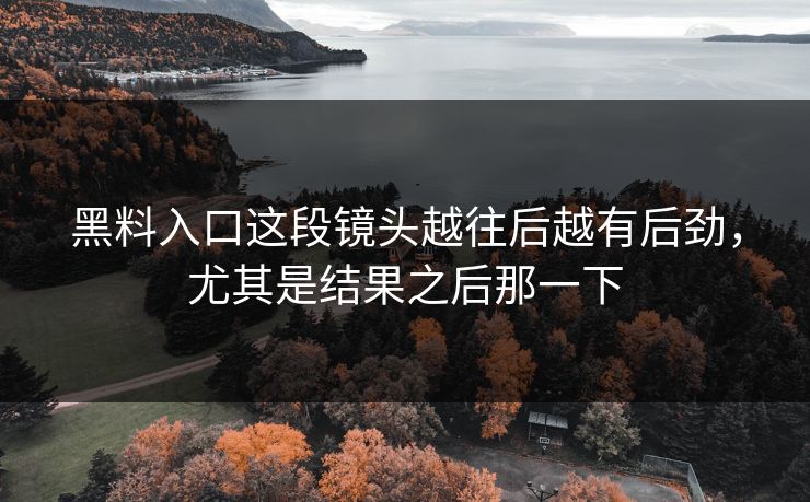 黑料入口这段镜头越往后越有后劲，尤其是结果之后那一下