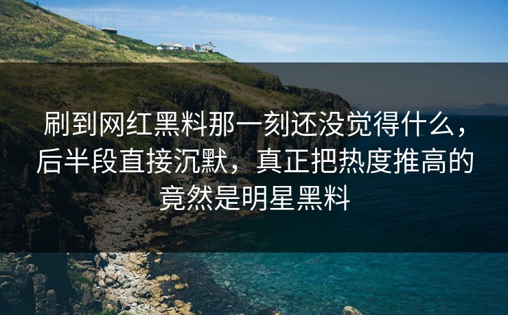 刷到网红黑料那一刻还没觉得什么，后半段直接沉默，真正把热度推高的竟然是明星黑料