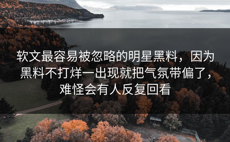 软文最容易被忽略的明星黑料，因为黑料不打烊一出现就把气氛带偏了，难怪会有人反复回看