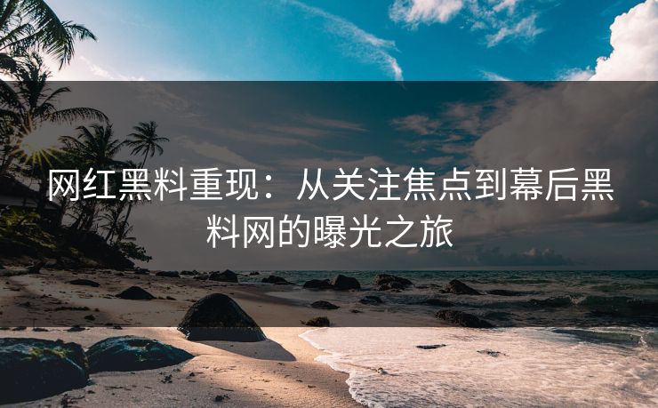 网红黑料重现：从关注焦点到幕后黑料网的曝光之旅