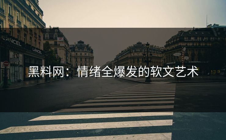 黑料网：情绪全爆发的软文艺术  第1张