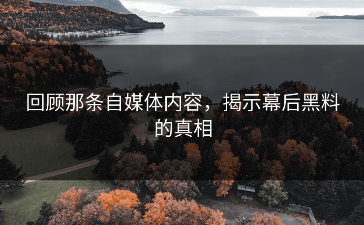 回顾那条自媒体内容，揭示幕后黑料的真相