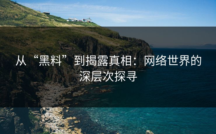 从“黑料”到揭露真相：网络世界的深层次探寻