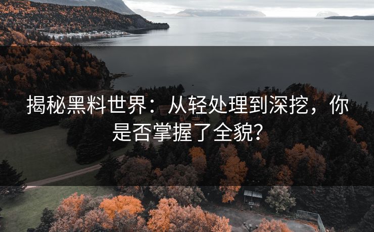 揭秘黑料世界：从轻处理到深挖，你是否掌握了全貌？